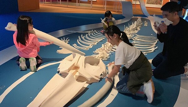 「動物藝想─故宮新媒體暨藝術展」獲美國博物館聯盟謬思獎最高榮譽金獎。圖╱故宮提供