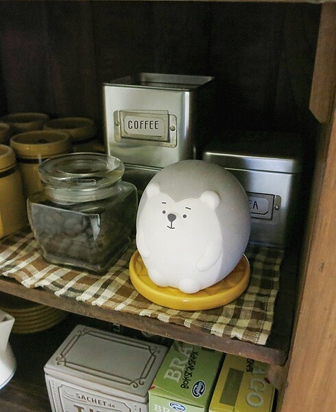 日本DECOLE除濕小幫手擁有多款超萌造型,可放置於鞋櫃或櫥櫃。圖/台隆手創館提供