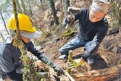 嘉明湖步道徵志工　229人搶破頭