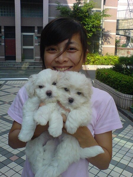 喬媽。(圖/玫瑰之名 The Name of the Rose臉書)