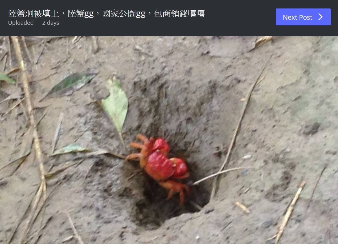 滿州港口溪賞蟹木棧道,挨批破壞生態。翻攝PTT網友「omnipotent77」PO出照片