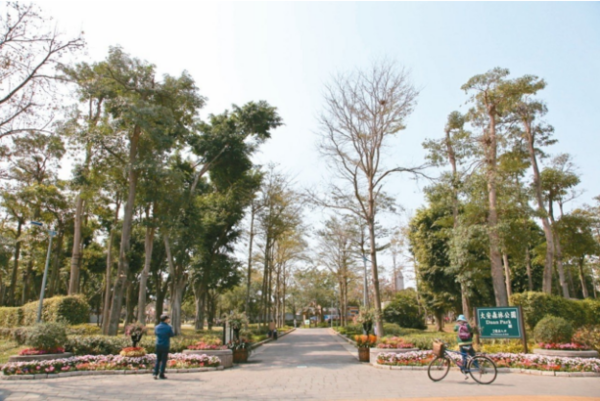 大安森林公園擬設置咖啡館，預計下月6日舉辦說明會，已有周邊居民表態反對。 圖／摘自台北旅遊網