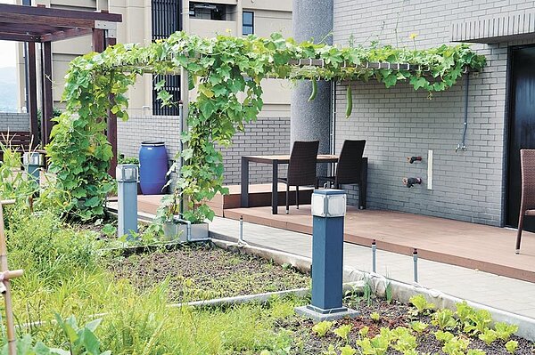 新北市環保局去年推出清涼屋頂補助計畫,民眾只要在自家屋頂綠美化,最高可獲20萬元補助,但去年一整年僅30戶申請,22戶成功補助。(許哲瑗翻攝)