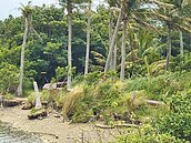 包商違約　滿州公所將開罰