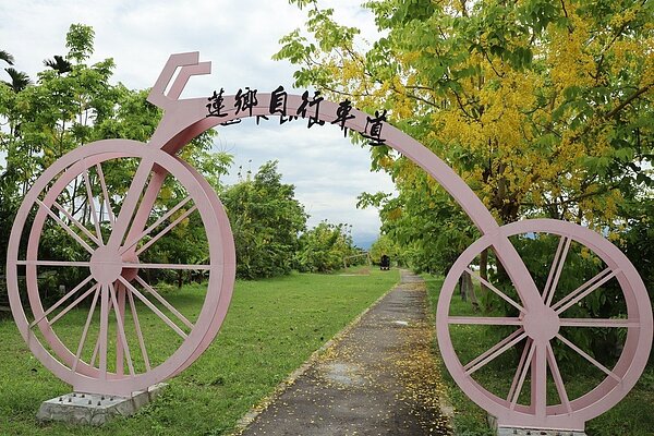 台南白河「蓮鄉自行車道」,兩旁阿勃勒花盛開。記者吳淑玲/翻攝