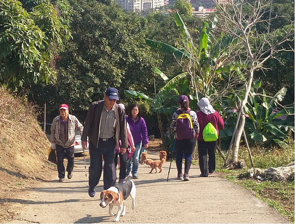 積極活動不僅有助於預防慢性病。隨著年齡增長，它也可以降低嚴重受傷的機率。本報資料照片