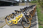 終結違停亂象　oBike今全面清空