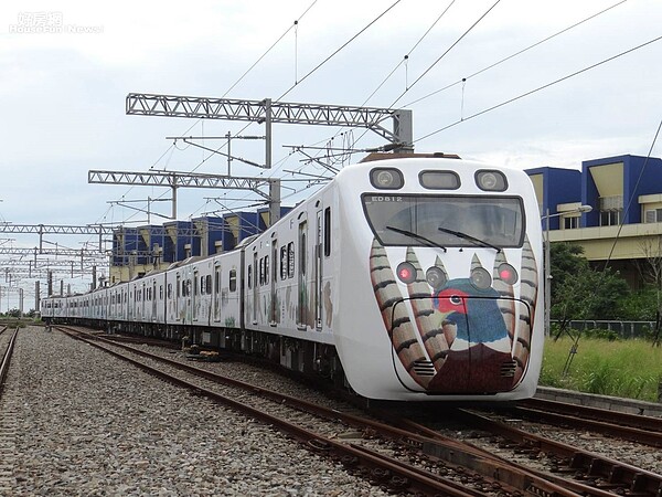 台鐵推出「里山動物列車2.0」，由「環頸雉」和「石虎」擔任「引航者」。照片台鐵提供