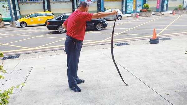 基隆市夏天經常有蛇類出沒，基隆市動保所光去年就接獲300件捕蛇的通報，消防局捕蜂捉蛇更高達2500件。（中時張穎齊翻攝）