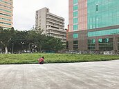 北市議會舊址開發案　脫標3年仍是一片雜草皮