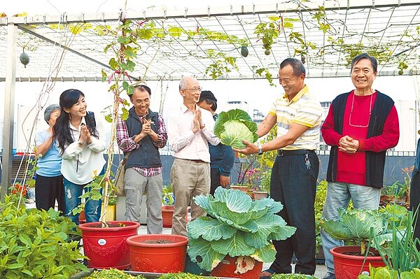 屋頂農場收成豐碩,更能達到隔熱降溫及感情聯繫雙重功效,新北有愈來愈多社區加入。(葉德正翻攝)