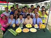 大烏龍盼設專區　重振瓜果盛名