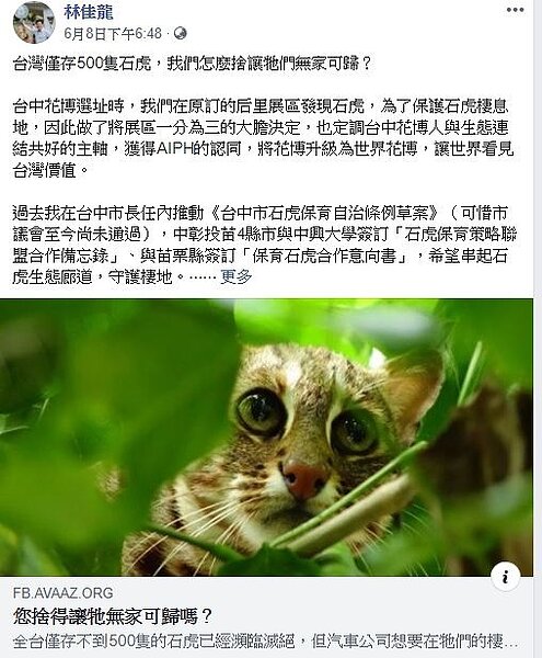 交通部長林佳龍籲連署守護石虎。(擷取自林佳龍臉書)