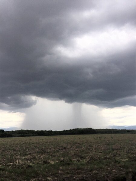 嘉義縣水上鄉張姓鄉民,今天中午12時許,行經水上清潔隊附近,發現往北嘉義市方向,天空有如破洞、倒下雨瀑。圖/讀者提供