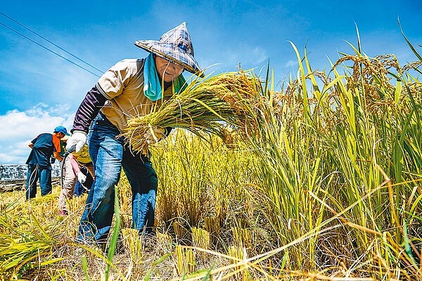 明年元月起老農津貼、國民年金等10大社福津貼將依物價漲幅調高4.15％，增加預算67億元，至少240萬人受惠。（本報資料照片）