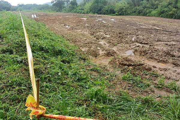 秋行軍蟲侵台,防疫人員封鎖位於苗栗通霄的蟲害地區。(巫靜婷攝)