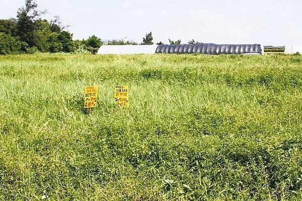 桃園航空城拆遷補償評點調高為12.1元,包括中壢體育園區等區段徵收都市計畫都適用。 圖/聯合報系資料照片