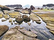 基隆八斗子大坪海岸　從秘境成抓蟹、撈魚好景點