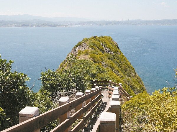 在基隆嶼步道看基隆山、基隆港,沿途還有好幾樣以基隆命名的植物。 記者吳淑君/攝影