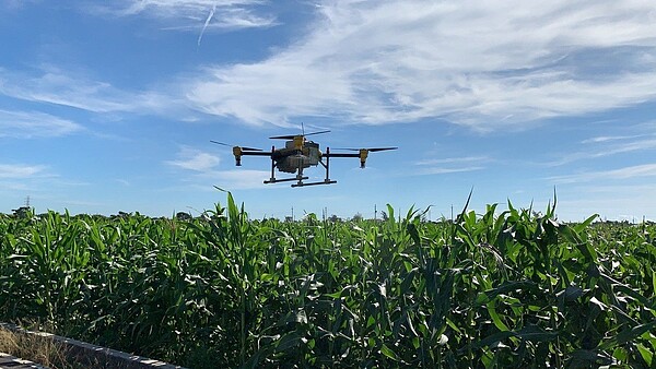 雲林縣政府出動無人機配合地面人員噴藥,防治秋行軍蟲。圖/縣府提供