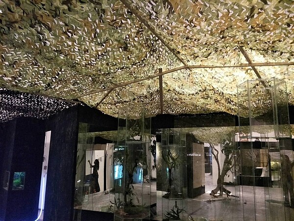 海科館自今天起到10月27日舉行「登陸。作戰-兩棲爬蟲動物特展」,展出包含35種世界各地之珍稀兩棲與爬蟲類動物展示。圖/海科館提供