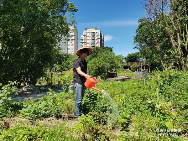 都市菜園建議改以水龍頭取代儲水桶，避免病媒蚊孳生。圖／疾管署提供