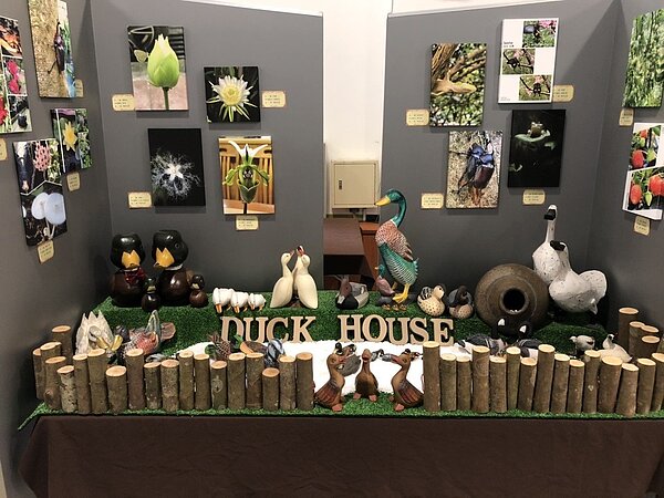 北市內湖公民會館3月23日起到4月17日舉辦「碧山巖下三家春」生活藝文展,分享長青樂齡志趣。圖/策展單位提供