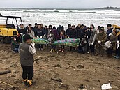 北海岸7處沙灘清出1500公斤海漂垃圾　大陸寶特瓶也有