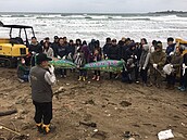 北海岸7處沙灘清出1500公斤海漂垃圾　大陸寶特瓶也有