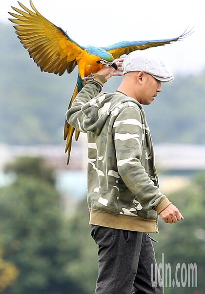 中央氣象局表示,明、後天溫暖南風再起,周三開始東北季風即會減弱,氣溫明顯回升,各地高溫至少在26度以上。本報資料照片