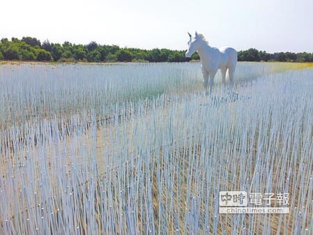 
今年漁光島藝術節以「海島新樂園」主題，藝術家游文富在海岸打造一道蜿蜒漸層地景藝術作品「奇幻島」。（曹婷婷攝）
 