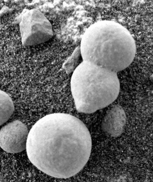 火星探測車「好奇號」已連續三天在火星上拍攝到15張擁有菌傘和菌柄的真菌。圖擷自《天體生物學和空間科學雜誌》