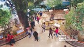 一覽濕地生態　台江國家公園遊客中心開幕