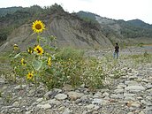 莫拉克風災10年…你們還好嗎？