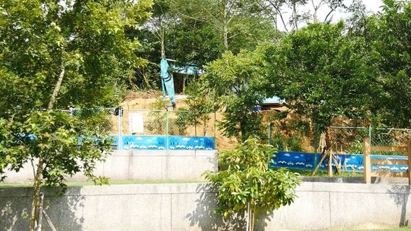 台南市大內區推動植存環保葬正夯。（台南市民政局提供）