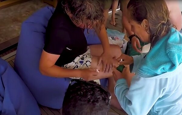 去年六月，一名來自奧地利的潛水員遠赴埃及潛水，竟遭遇遠洋鯊魚咬傷，雖無生命危險但傷口大到須縫50針，當事者表示自己還活著已是奇蹟。

