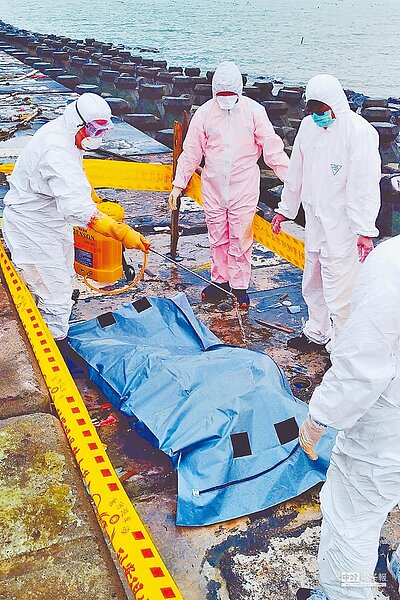 4月4日連江縣南竿清水沃岸際發現1頭漂流死豬,檢出非洲豬瘟病毒核酸陽性,馬祖檢疫站人員實施消毒作業。(防檢局提供)