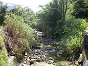 東勢賞螢活動開跑　人車有管制