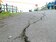 花蓮強震　吉安楓林步道受損　2個月內啟動修復