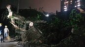 基隆百年老樹突傾倒　壓毁電纜線　