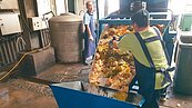 廚餘堆肥化　苗市新設備縮短至15天