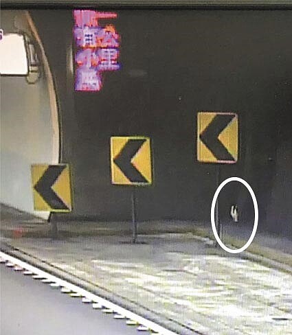 雪山隧道因為有鳥類誤闖而緊急封閉車道,卻是史上頭一遭!(胡健森翻攝)