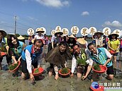 台南彩繪稻田10月登場　「ㄇㄚˊ幾兔」擔任主角