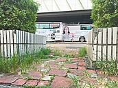 台北車站廣場人行道沒人管　雜草長　路坑洞