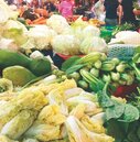 北農蔬菜批發均價漲1成　農委會：合理範圍