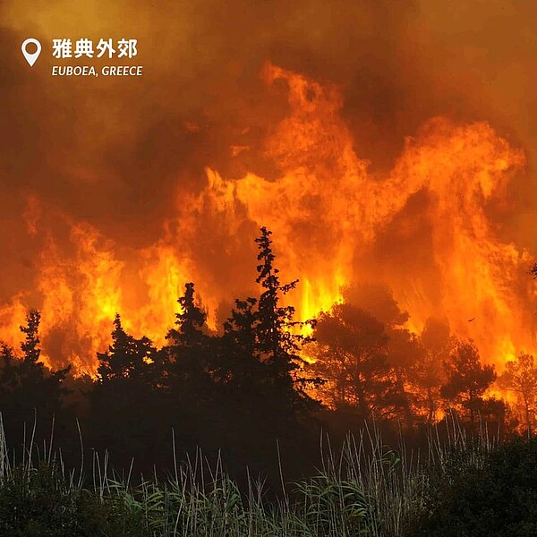 亞馬遜雨林森林大火。圖／臉書Greenpeace 綠色和平