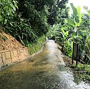 連日大雨　台中大坑一號登山步道預計今年12月搶修完成