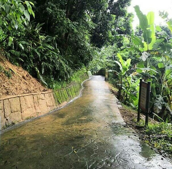 台中大坑七號步道有土石崩落，目前已搶俢完成。圖／台中市觀旅局提供