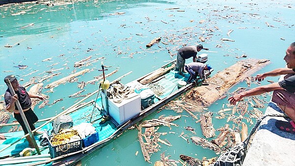 楊柳颱風即將生成,台東富岡漁港內仍滿布白鹿颱風帶來的漂流木,有些漁民無法出海捕魚,改撈漂流木。 記者羅紹平/攝影
