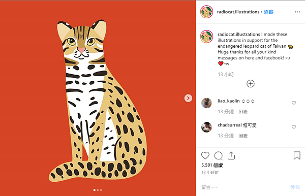 俄羅斯插畫家Катя Mолодцова繪製石虎圖樣,免費讓台灣使用。翻攝自Катя Mолодцова IG